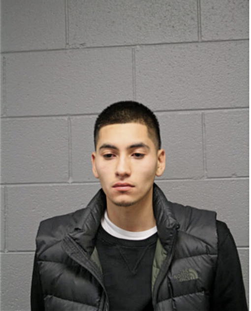 CARLOS ALBERTO DIAZ, Cook County, Illinois