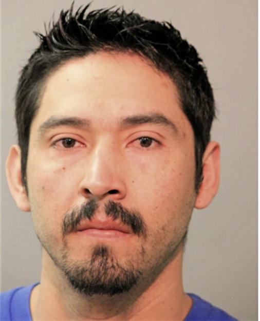 SANTOS ESTRADA, Cook County, Illinois