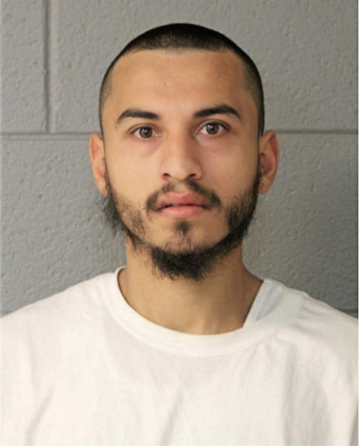 JUAN M GONZALEZ, Cook County, Illinois