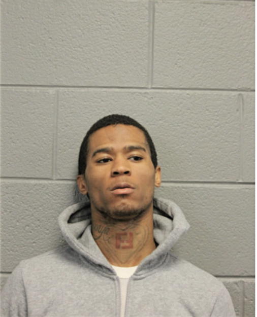 BRIAN K HALL, Cook County, Illinois