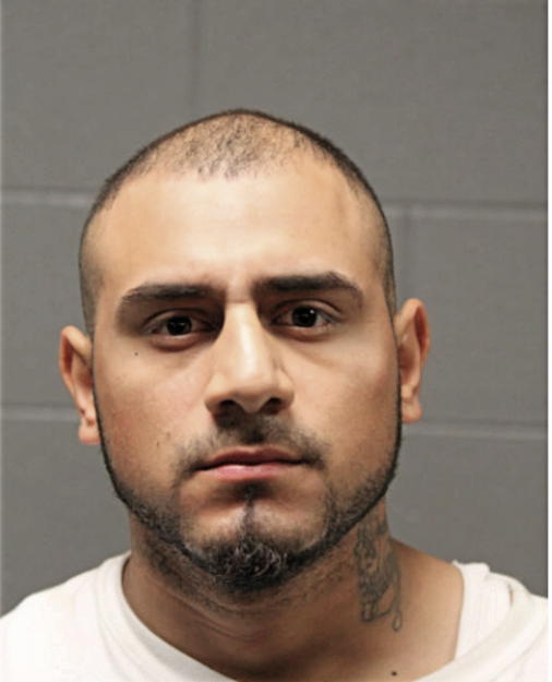 SAMER HERNANDEZ-ABDALLAH, Cook County, Illinois