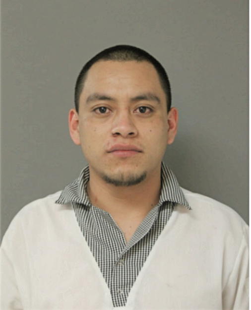 ALIN G HERNANDEZ, Cook County, Illinois