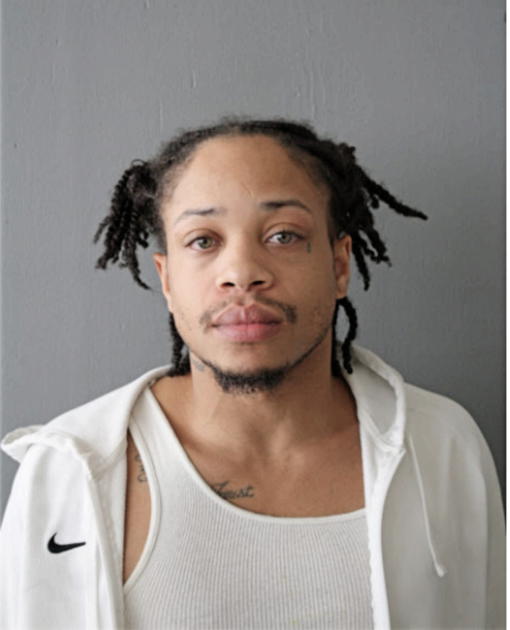 TERRANCE J HOGAN, Cook County, Illinois