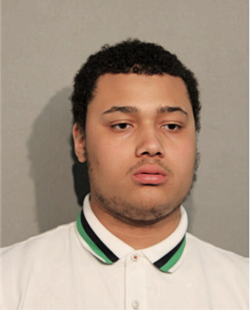 LEONARD R JOHNSON, Cook County, Illinois