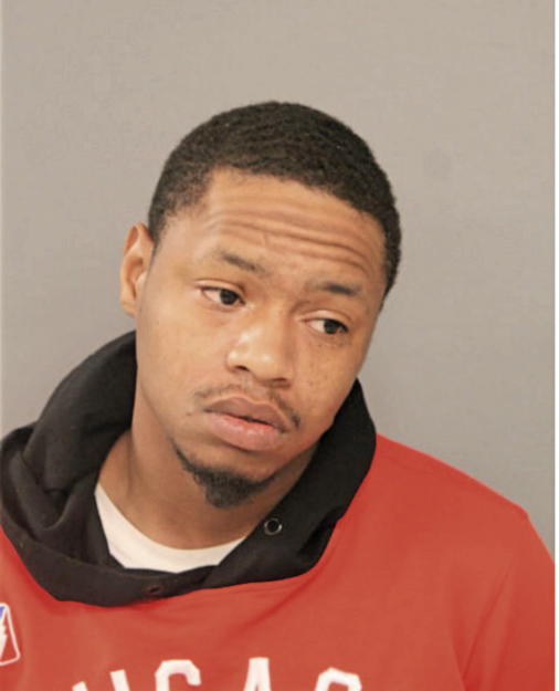 DOMINIC T LEWIS, Cook County, Illinois