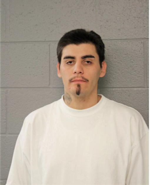 LUIS LOPEZ, Cook County, Illinois