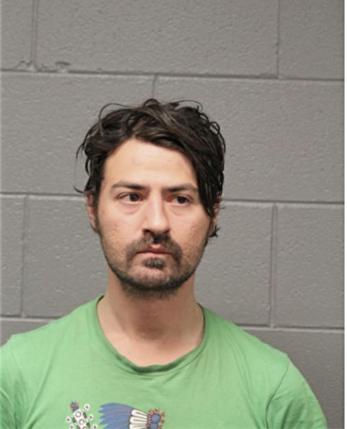 JOHN C MAHMUD, Cook County, Illinois