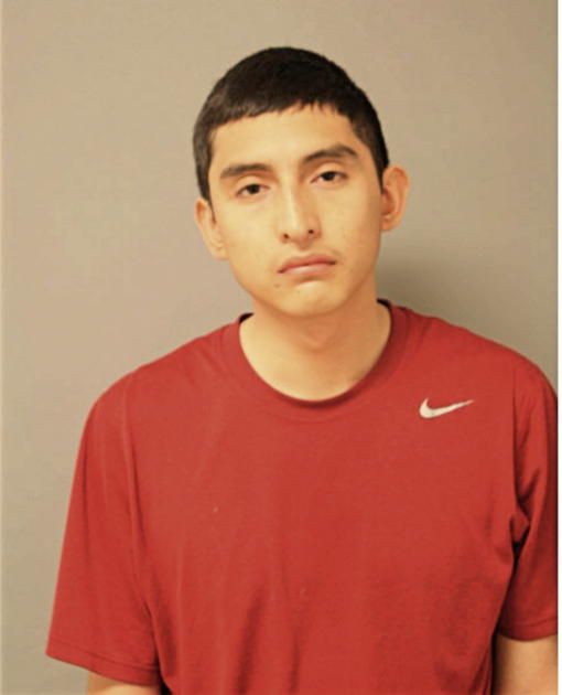 ALEX R MARTINEZ, Cook County, Illinois