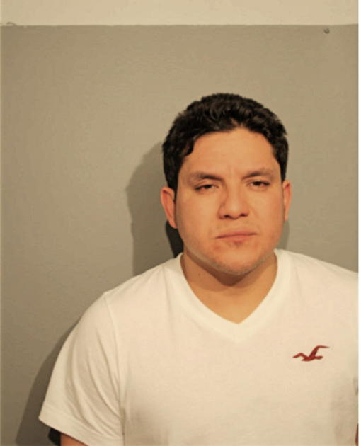 JUAN E MONZON, Cook County, Illinois