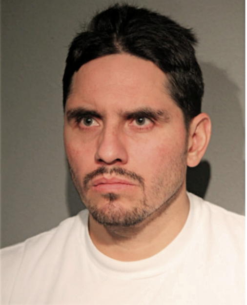 CARLOS A NAVARRETE, Cook County, Illinois