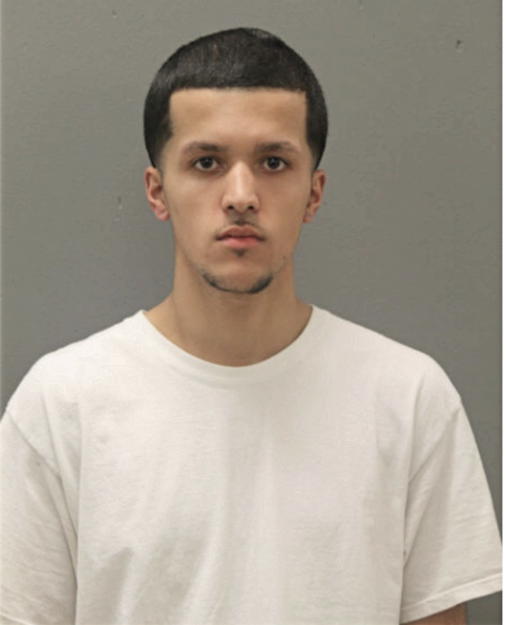 DARIEL A ORTIZ, Cook County, Illinois
