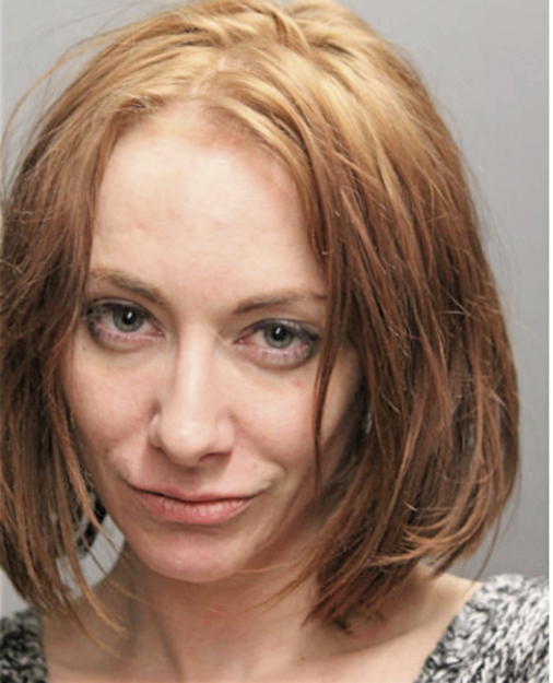 JULIE A RAMER, Cook County, Illinois