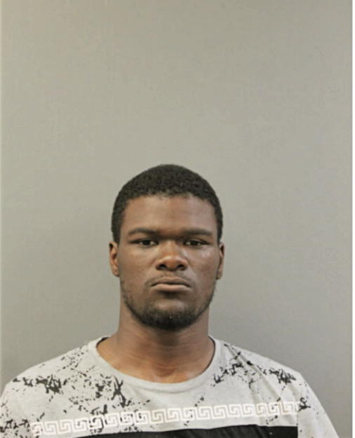 THOMAS L SPRAGGINS, Cook County, Illinois