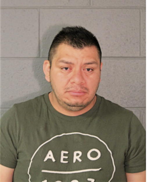 LUIS ALONSO, Cook County, Illinois