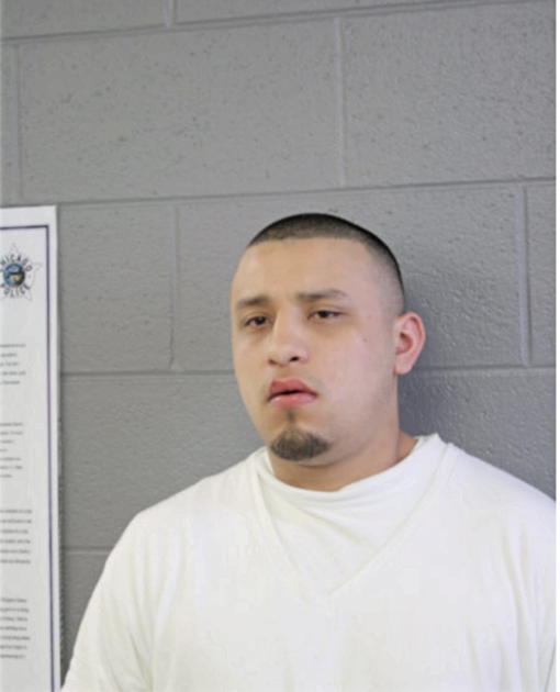 FELIPE ANDRADE, Cook County, Illinois