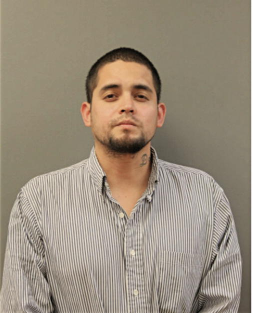 ANDREW ARANGO, Cook County, Illinois