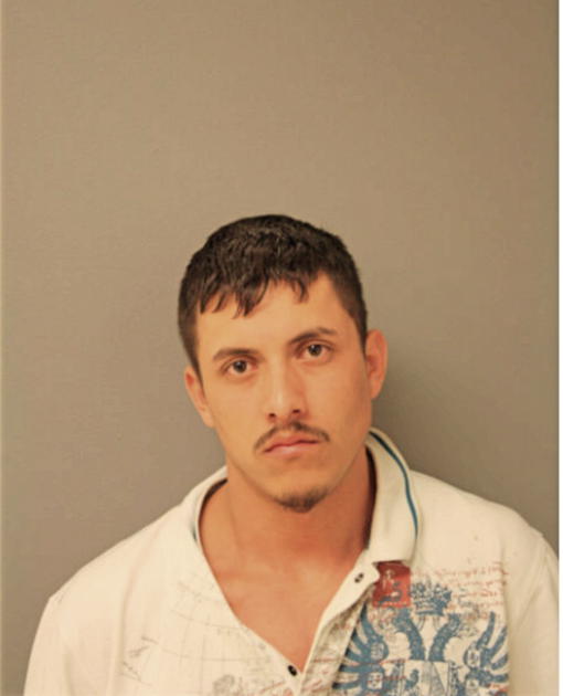 SAUL ARREOLA, Cook County, Illinois