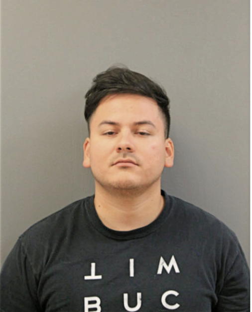 TONY B BRAVO, Cook County, Illinois