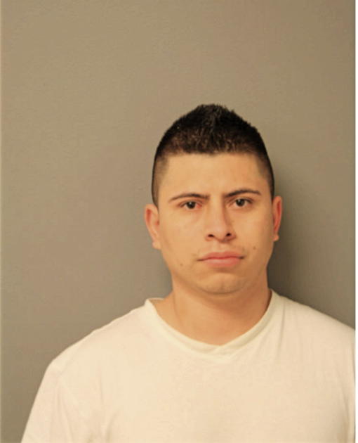ANDRES CASTANEDA-MARTINEZ, Cook County, Illinois