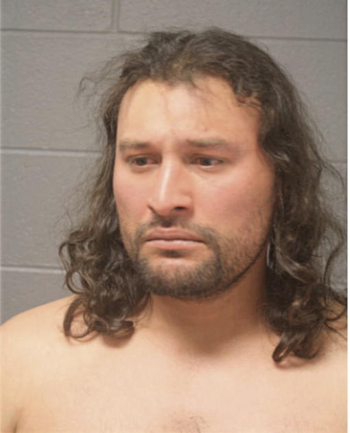 OMAR CENDEJAS, Cook County, Illinois
