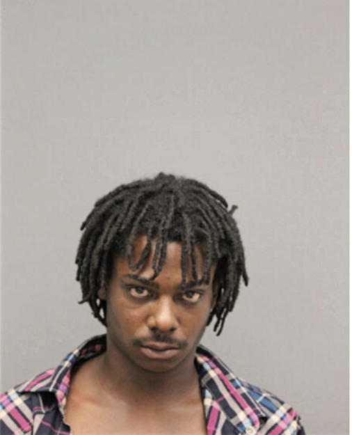 SEAN L CLEMON, Cook County, Illinois