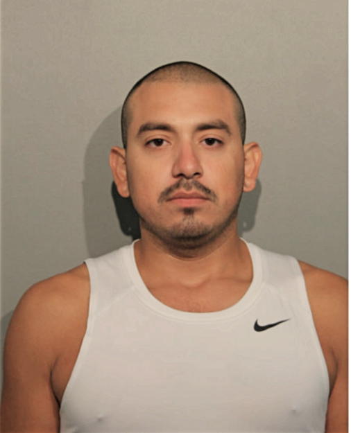 ADAN GARCIA, Cook County, Illinois