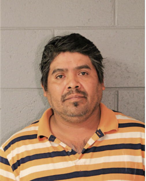 WALDO GUZMAN, Cook County, Illinois