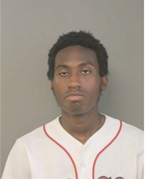LANCE L HORNE, Cook County, Illinois