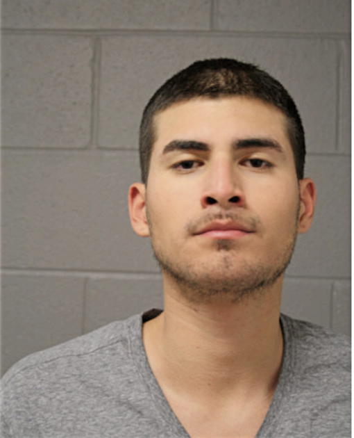 CELSO JAIMES, Cook County, Illinois