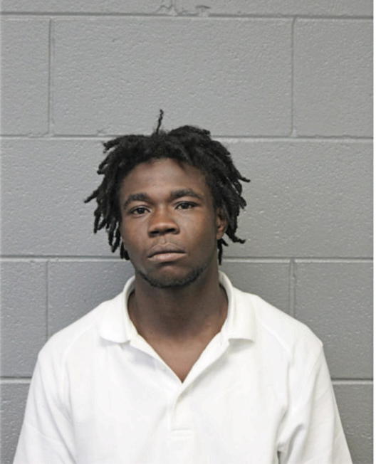 DEMARCO L JOHNSON, Cook County, Illinois