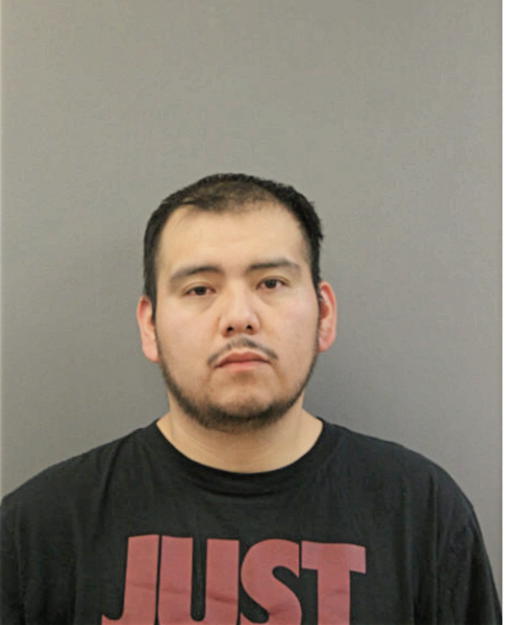 OMAR LAGUNAS, Cook County, Illinois