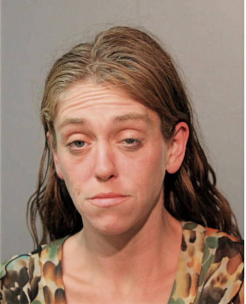 MEGAN LEWIS, Cook County, Illinois