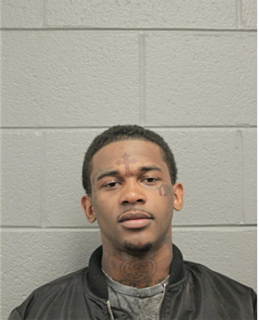 TION LEWIS, Cook County, Illinois