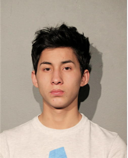 ISRAEL WILMER MENDOZA PERUGACHI, Cook County, Illinois