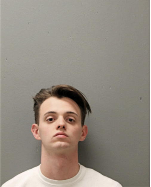 TYLER J PALINCA, Cook County, Illinois