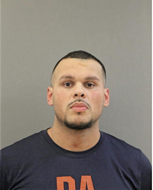 ONEILL A RIVAS, Cook County, Illinois