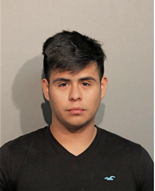 DIEGO TELLEZ, Cook County, Illinois