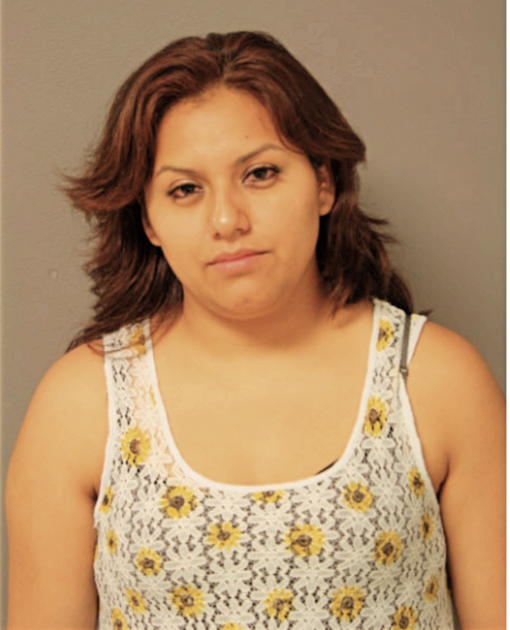 ROSA TORREZ, Cook County, Illinois