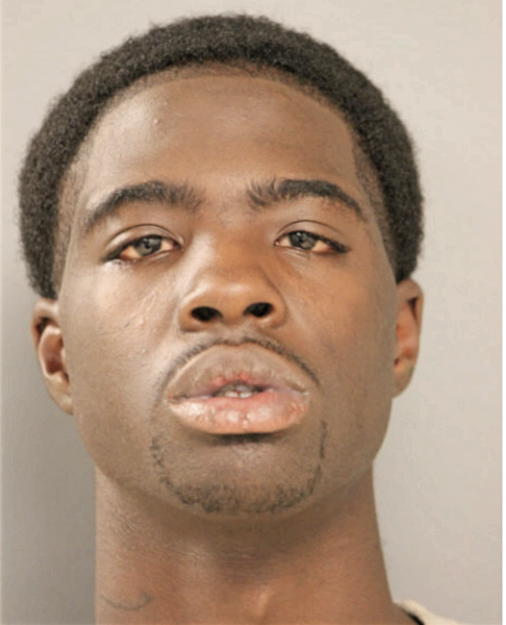 DEMARCUS J WILLIAMS, Cook County, Illinois