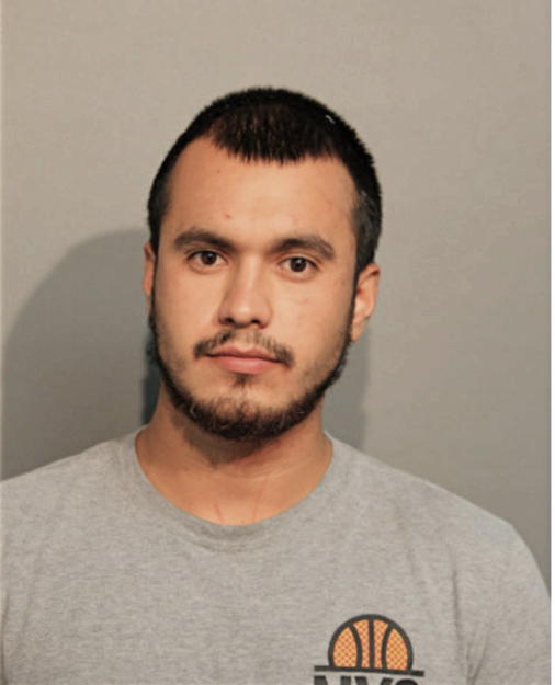 ANDRES ZAMORA, Cook County, Illinois