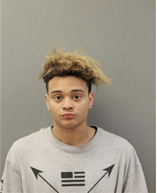 SHAWN D ALEXANDER, Cook County, Illinois