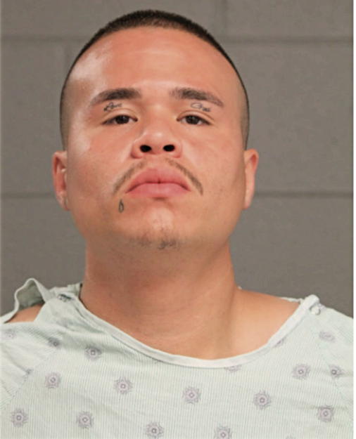 DAVID A AROCHO, Cook County, Illinois