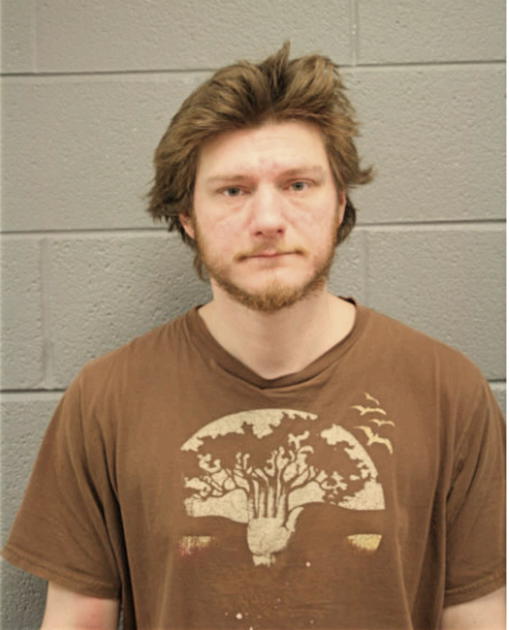 CHRISTOPHER BAUER, Cook County, Illinois