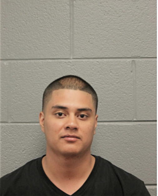 CHRISTIAN J CERRITOS, Cook County, Illinois