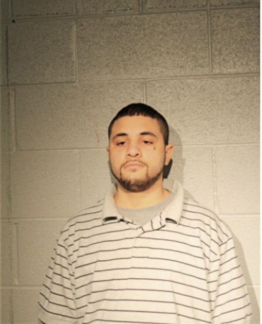 MANOEL D DEFIGUEIREDO, Cook County, Illinois
