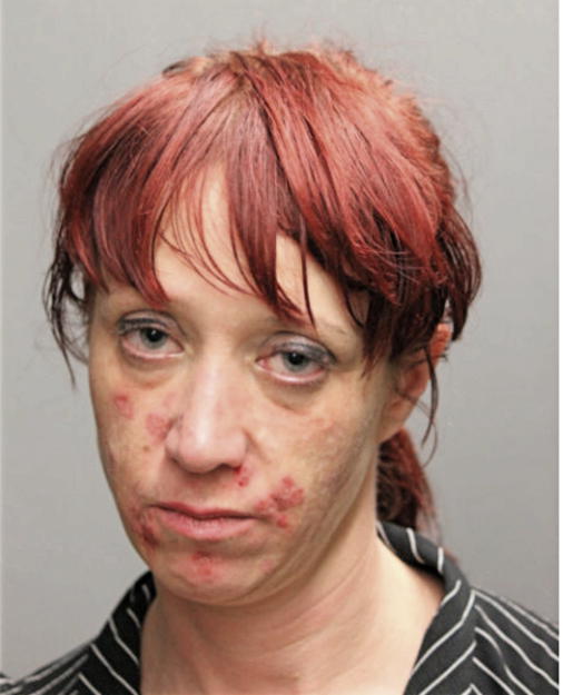 ROBIN J DEMETRUS, Cook County, Illinois