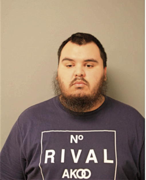 RICARDO DOMINGUEZ, Cook County, Illinois