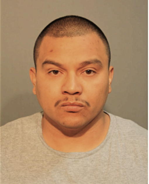 FRANCISCO JAVIER ESTRADA-DONOSO, Cook County, Illinois