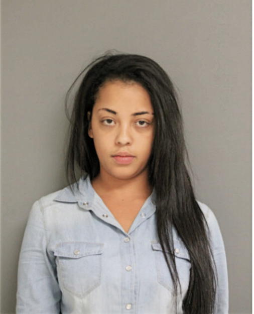 LAUREN A EVANS, Cook County, Illinois