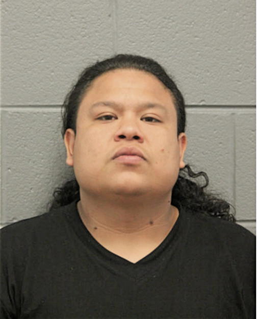 ENRIQUE GALLARDO, Cook County, Illinois